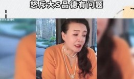 张兰爆料视频,豪门恩怨背后的惊人真相